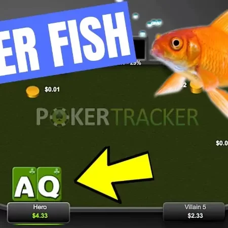 Cùng chuyên gia 888BET nhận biết Fish trong Poker